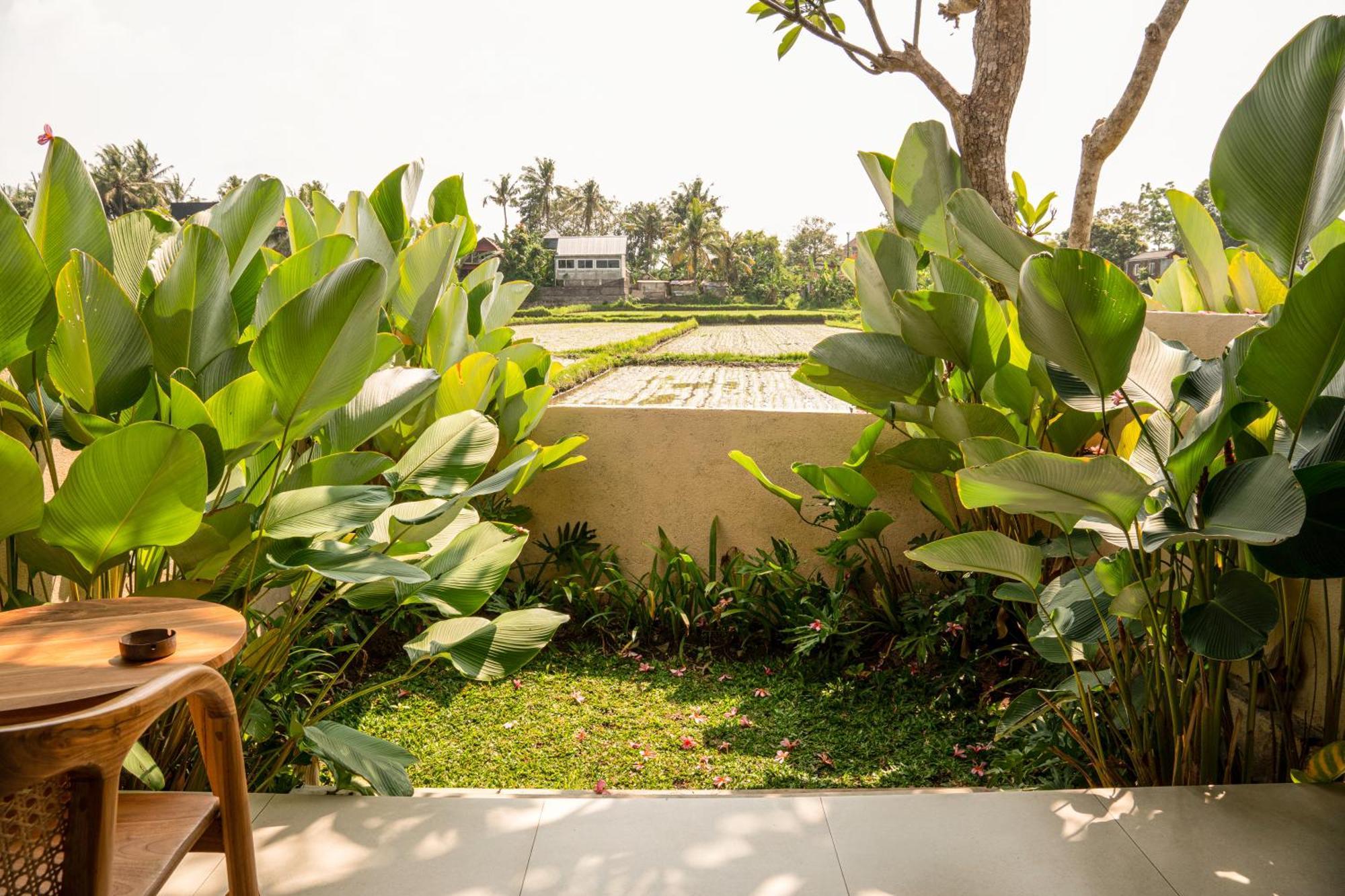 Tut Winten Villa Ubud Buitenkant foto